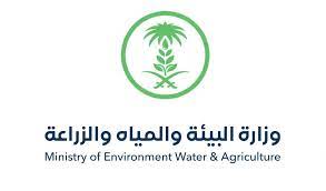 البيئة توظيف وزارة رابط تسجيل