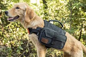 the 8 best dog backpacks plus usage
