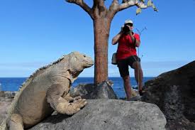 There are thirteen major islands and a handful of smaller islands that make up the galápagos archipelago. Ecuador Galapagos 6 Tage Tierbeobachtung Hohepunkte Galapagos Diamir Erlebnisreisen Statt Traumen Selbst Erleben