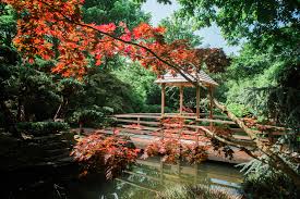 Visit The Japanese Garden