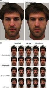 The Masculinity Paradox Facial Masculinity And Beardedness