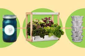 the 9 best indoor herb gardens for 2023