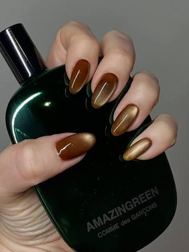 Warning: you'll spend the rest of the day staring at your nails. 🤎✨ Chocolate brown cat eye goodness. ✨ Book Level 1 Nail Art to recreate this look.