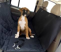 Dog Hammock For Your Car