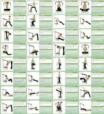 37 Best Whole Body Vibration Exercises Images Whole Body