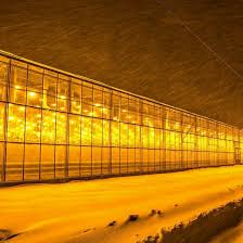 greenhouse light pollution how to