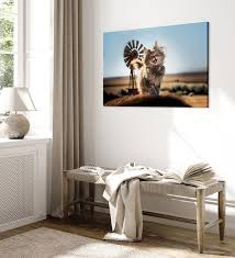 Canvas Painting Ai Maine Coon Cat