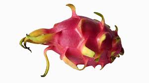 Image result for free pics of dragon fruit