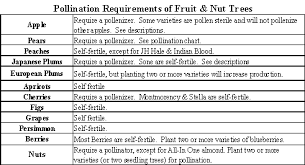 Pollination Requirements For Fruit Nut Trees Fruit Trees