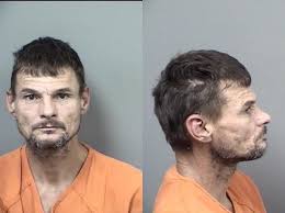 citrus county mugshots from nov 10 to