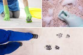 how to remove shoe polish from carpet