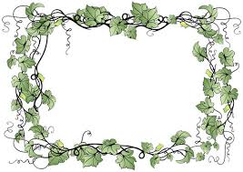 vine frame images browse 81 011 stock