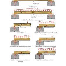 typical rupture modes in timber beams