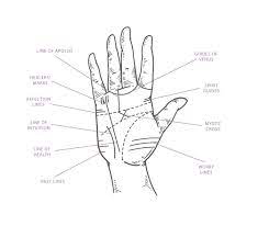 how to read your palm line what