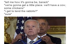 Image result for biden memes