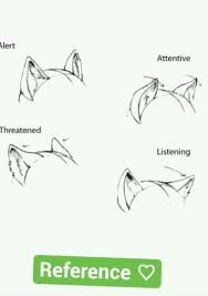 Wolf Body Language Ears In 2019 Drawings Art Sketches