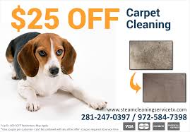 steam cleaning service tx carpet