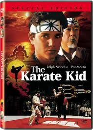 the karate kid special edition good