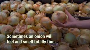 is it safe to eat an onion that has a