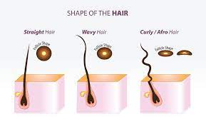 afro hair breakage common causes and
