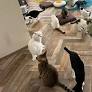 「不注意では済まされない」 猫カフェで発見された『落とし物』｜ウーマンエキサイト