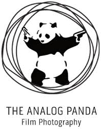Pie Chart Progress Bar The Analog Panda Analog Film