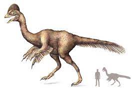  Dinosaurus seberat 500 pon (225 kilogram) mungkin memakan berbagai tumbuh-tumbuhan, hewan kecil, dan telur. (ILUSTRASI OLEH EMILY M. ENG/NATIONAL GEOGRAPHIC) 