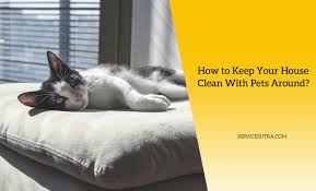 house clean with pets like cat and dog