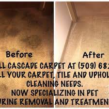cascade carpet cleaning bridgeport
