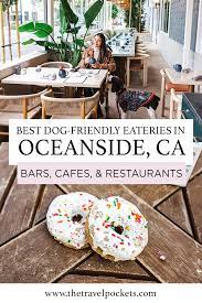 7 super dog friendly restaurants cafes