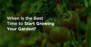 Start Growing Your Garden