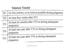 tet toxoid schedule in pregnancy