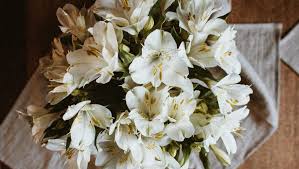 what do white lilies symbolise 5 types
