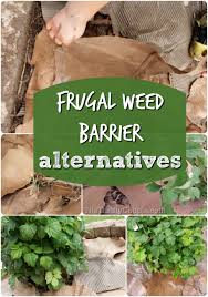 Weed Barrier Alternatives To Plastic