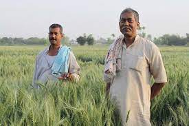 मध्य प्रदेश के 15 लाख किसानों को मिलेंगे फसल बीमा के 2990 करोड़ | KRISHAK  JAGAT
