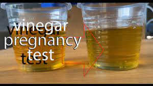 vinegar pregnancy test color change