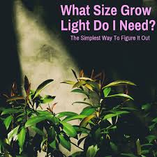 Do plants need special light to grow. What Size Grow Light Do I Need The Simplest Way To Figure It Out Grow Light Info