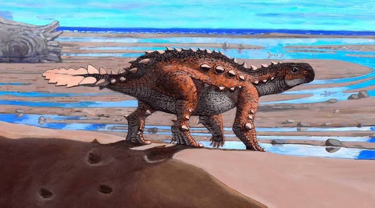 Scientists find strange new dinosaur in Chile with a tail that looks like a battle axe