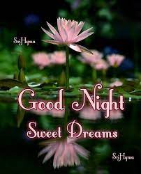 Good night | Good night blessings, Good night sweet dreams, Good night  messages