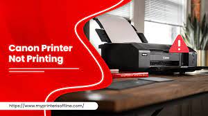 canon printer not printing 11 methods