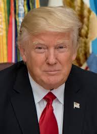 Image result for donald trump
