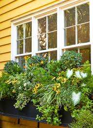 Plastic leonardo window box enhances both indoor and outdoor decor. How To Plant A Window Box Like A Pro Better Homes Gardens