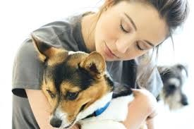 Canine Bordetella Vaccine Thinkcafe Co