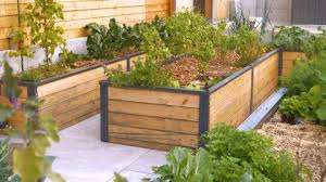 Beautiful Permaculture Raised Bed