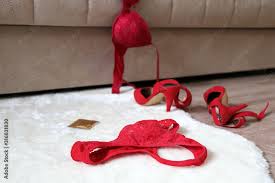 concept red lace bra
