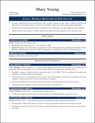 Entry Level IT Project Manager Resume   Creative Resume Design     Accomplishments On Resume Samples Resume Sample Free Resume Accomplishments  to Make Your HR Advisor Resume Stand