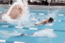 See more ideas about olympic swimmers, olympics, swimmer. Swimming Gifs Tenor
