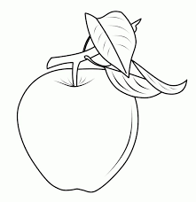 Koleksi gambar sketsa apel aliransket. Contoh Gambar Mewarnai Buah Apel Gambar Apel Kataucap