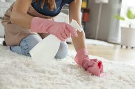 natural carpet cleaners every homeowner