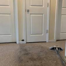 top 10 best carpet cleaning in memphis